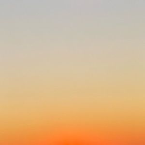 Meet your Posher, Lily